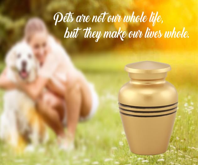 Serenity Keepsake Urn for Human & Pet Ashes – Mini Cremation Urn with Velvet Bag & Funnel – Elegant Metal Memorial Urn with Accent Bands – Small Tribute Urn (Gold) Gold-1