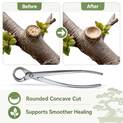 Yferrovibe 8.3-inch knob cutter bonsai tool with rounded cutting jaws for precise branch removal