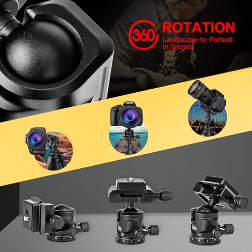 Zeadio Mini Ball Head, All Metal 360° Rotatable Panoramic Tripod Head with Arca Swiss Quick Release Plate, Compact Camera Mount for DSLR Cameras, Monopod, Tripod, Vlogging etc Arca Version
