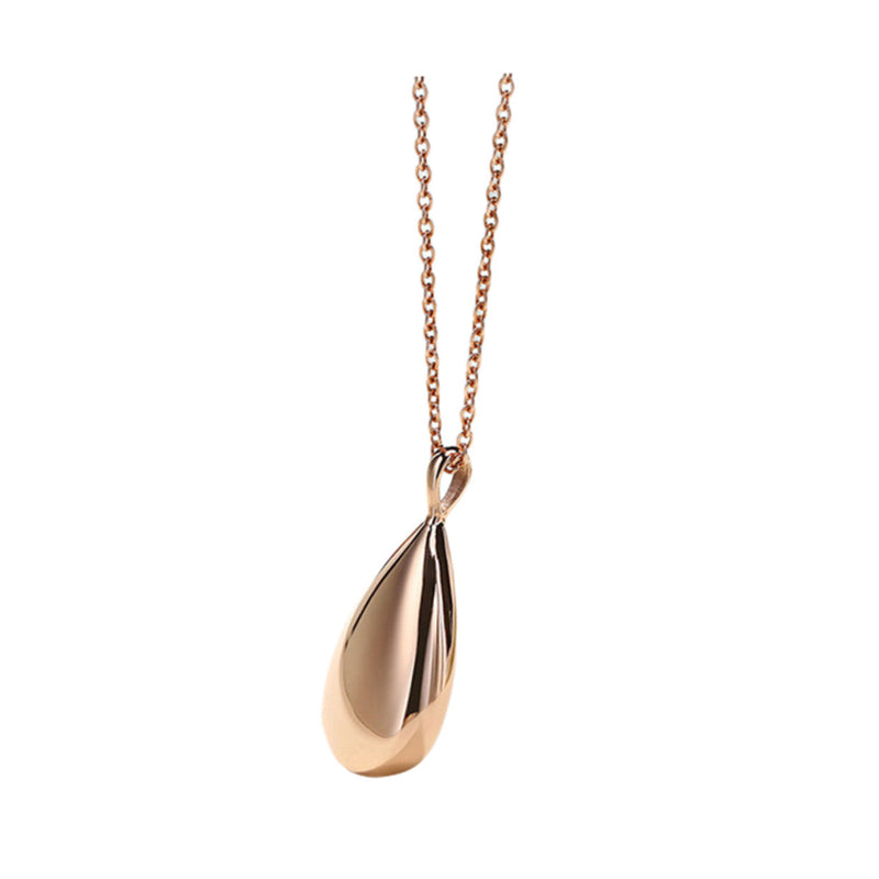 Abaodam Perfume Necklace Aromatherapy Necklace Urn Pendant for Ashes Diffuser Jewelry for Women Pendant with Chain for Essential Oils Personal Fragrance