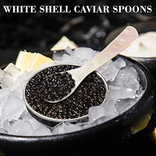 Geiserailie 24 Pieces Mother of Pearl Caviar Spoons Handcraft,3.55 Inch (Pack of 2) 48 3.55 Inch (Pack of 2)