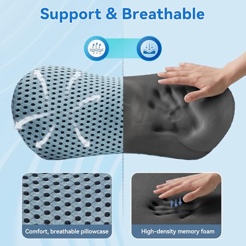 Lumbar Support Pillow, Memory Foam Lumbar Pillow for Office Chair and Car Seat, Back Pillow for Lower Back Pain Relief, Back Support Pillow for Sitting, Driving, Traveling (Blue) Blue