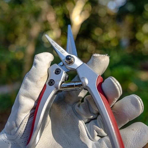 Radius Garden 7-inch aluminum fine pruner scissors with ergonomic grip
