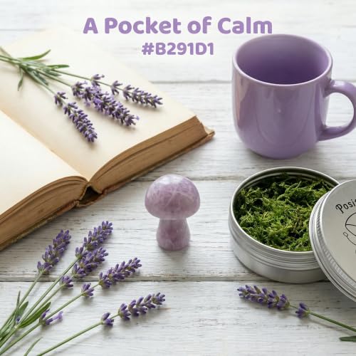 Amethyst Crystal Mushroom in Tin Box, Emotional Support Mushroom Spiritual Gifts for Women, Healing Crystals Home Decoration Gift Set
