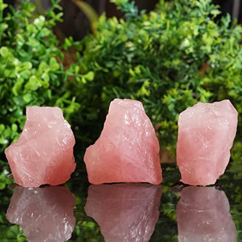 Zodiac Sign Sagittarius Horoscope Crystal Gift Set of 5, Astrology Stones with Rose Quartz and Natural Crystals, Shungite Protection Chip, Birth Sign Gift for Meditation, Yoga and Spiritual Décor