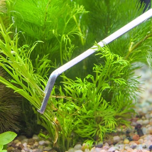 Curved Tweezers for Fish Tank Stainless Steel Tweezers Aquarium Tank Tweezers 30cm Feeding Tongs for Fish Tank Plants Aquascape Tools Feeding Tongs (30cm Elbow)