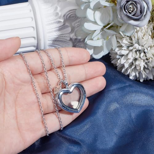 Pet Hair Memorial Necklace Stainless Steel Fur Ashes Keepsake Necklace Clear Glass Locket Necklaces Heart Charm Cat Dog Urn Picture Memorial Jewelry for Women Men Personalised Gift
