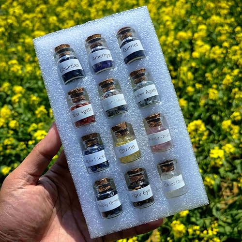 12 Kinds Crystal Chip Bottles Chakra Healing Wicca Gemstone Set