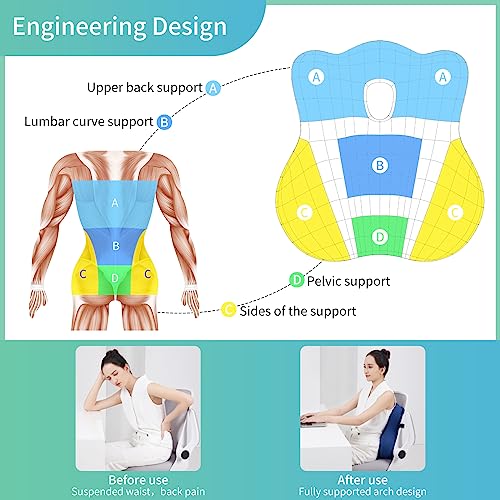 seeknow Lumbar Support Pillow for Chair Back Support Pillow for Couch Lumbar Pillow for Car Office Chair Back Cushion for Lower Back Pain Memory Foam Back Rest for Desk Chair, Recliner, Car Seats