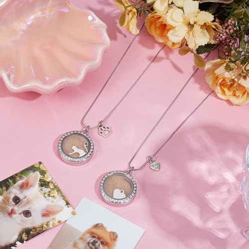 2PCS Pet Ashes Necklace Cats Hair Keepsake Fur Locket Necklaces Cat Dog Remembrance Jewelry with Paw Heart Rhinestone Pet Memorial Urn Necklace for Cats Women Men Loss Pet Sympathy Gift 2 Necklace