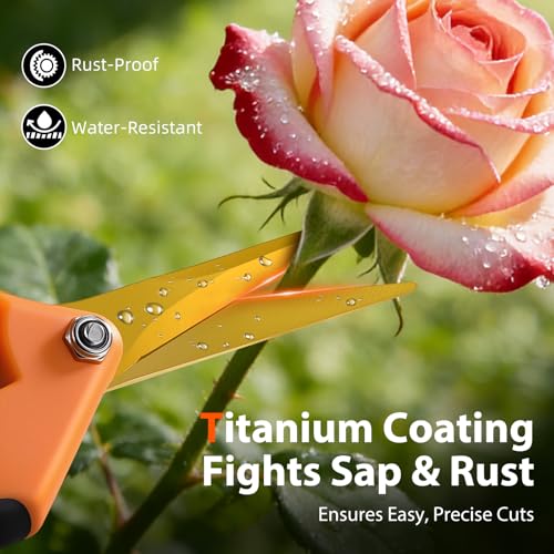 DECERK® Bypass Pruning Shears & Garden Snips for Cutting Stems & Branches