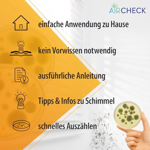 Mold Test Home – Mold Tester for 6 Rooms – Mold Quick Test with a breeding ground for an in the Air | Mold rapid test for estimating the room air 6 pcs. (pack of 1)