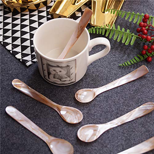 DUEBEL Set of 6 Mother of Pearl 3.55′′ Caviar Spoons for Caviar Serving or Egg Serving S
