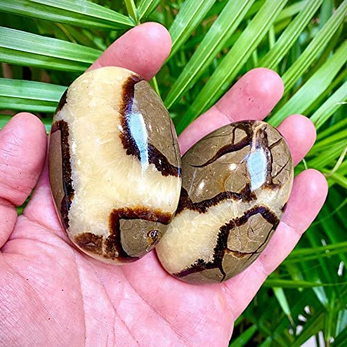 Acxico 1Pcs Septarian Crystal Dragon Stone Healing Crystals Yoga Reiki Meditation 3"