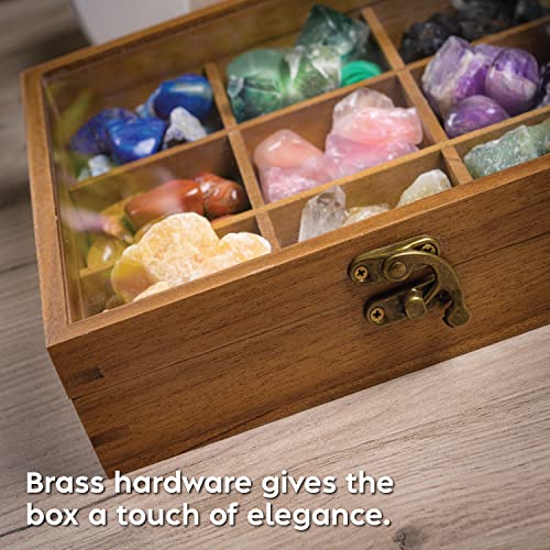 Rock Display Case - 8" x 8" Rock Collection Box for Kids & Adults - Crystal Holder for Stones Display Shelf with 9 Compartments & Acrylic Lid - Gemstone & Crystal Storage Box Organizer