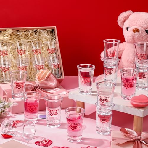 Qinyoung 24 Pcs Galentines Day Shot Glasses Cups Gang Gift Bulk