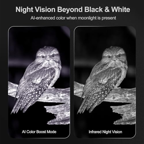 VisioGear 4K Night Vision Binoculars for Adults - Night Thunder X3 Lunar Silver