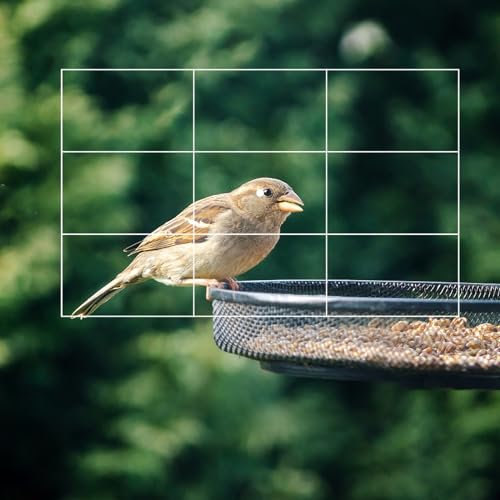 Rule of Thirds Photography Composition Viewer Finder,1 Pack Portable Enhance Photography/Painting/Drawing View Finder,Credit Card Size 1 pack