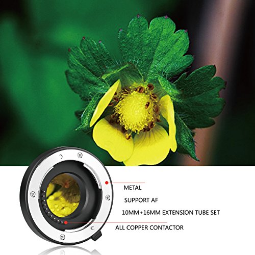 Meike Auto Focus Macro Extension Tube Set for MFT Olympus Panasonic MK-P-AF3A