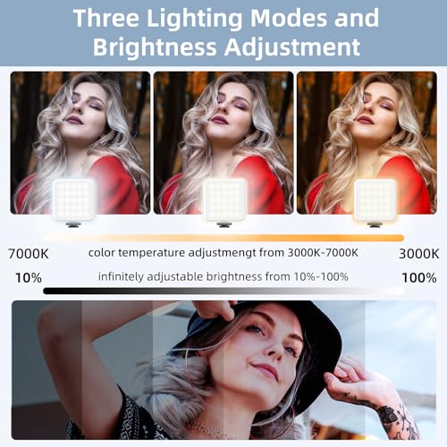 Zeadio Portable RGB Pocket Light with Clip - Adjustable 3000K-7000K Color Temperature, CRI95, Camera Small Video Selfie Light for Tabletop Filming/Selfie/Cell Phone/Photography, Pack of 2
