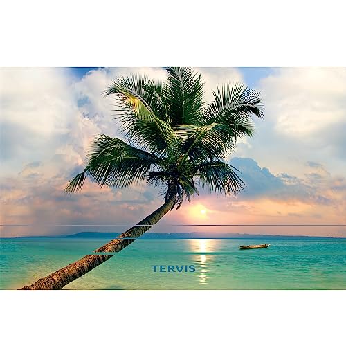 Tervis Traveler Sunset in Paradise Triple Walled Insulated Tumbler Travel Cup Keeps Drinks Cold & Hot, 30oz, Stainless Steel