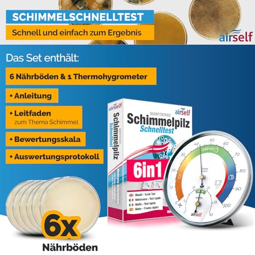 Mold Test + Thermohygrometer Analogue for up to 6 Rooms | For checking mold pollution, including analogue thermo-hygrometer