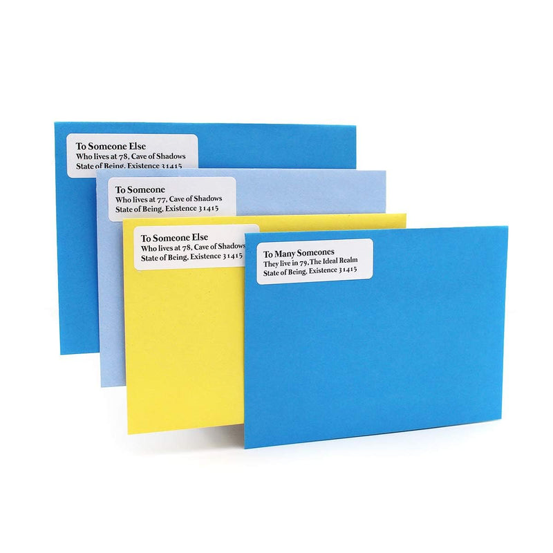 ChromaLabel 1 x 3 Inch Printable Labels, Compatible with Laser and Inkjet Printers, 20 Labels per Sheet, 50 Sheets, 1000 Pack 1" x 3"