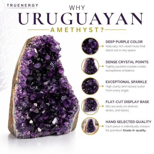 TRUENERGY Natural Amethyst Crystal Cluster, 0.5-20 lbs Grade AAA Dark Purple – Raw Quartz Amethysts Stone for Home Decoration, Positive Energy & Healing Crystals – Amatista Piedra 0.5 - 1 lbs