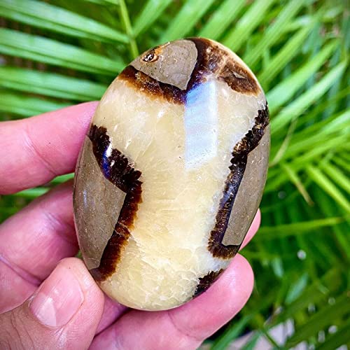 Acxico 1Pcs Septarian Crystal Dragon Stone Healing Crystals Yoga Reiki Meditation 3"
