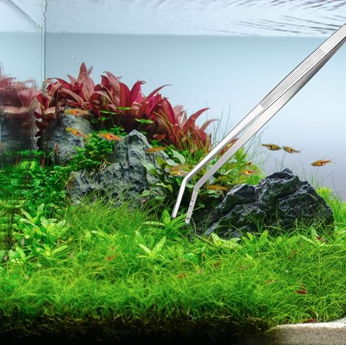Curved Tweezers for Fish Tank Stainless Steel Tweezers Aquarium Tank Tweezers 30cm Feeding Tongs for Fish Tank Plants Aquascape Tools Feeding Tongs (30cm Elbow)
