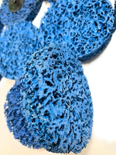 SIGNI blue 2-inch Poly Strip abrasive surface conditioning quick change Rolok discs, 10-piece set
