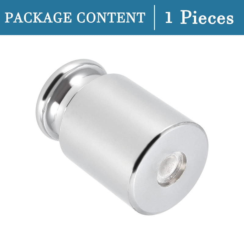QUARKZMAN 100g x 1 Piece Calibration Weight Chrome-Plated Steel Gram Weight | For digital jewelry scales and balance test, M1 precision