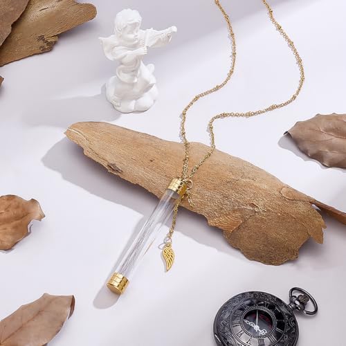 PH PandaHall Urn Necklace Ashes Holder Necklace 304 Stainless Steel Creamation Necklaces Clear Glass Tube Vial Necklaces Urns Locket Pendant with Wing Pendants for Keepsake Memorial Jewelry Making