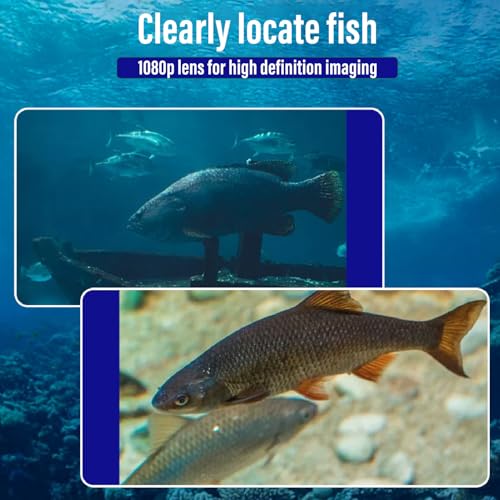 LICAEVEY Underwater Fishing Camera, 1080P 220 Wide Angle HD 4.3in High Brightness Screen, 15m High Toughness Cable for Ice Fishing Platform Fishing