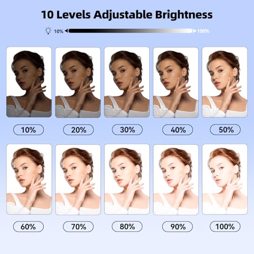 Takerers Video Conference Lighting, Webcam Light with Remote & Touch Control, 3 Color Temperature, 10 Level Brightness, Zoom Light for Computer, Video Calls, Live Streaming, Podcast, Studio (2-Pack) 2-Pack