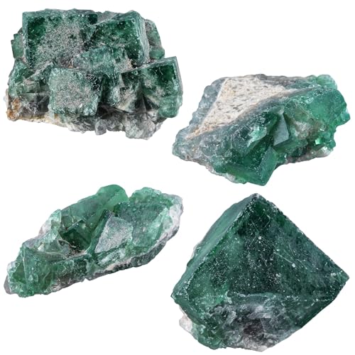 Sportmusies Natural Green Fluorite Crystal Cluster, 0.98-2.95 inches 0.98 - 2.95 Inch