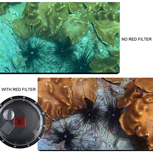 GEPULY Underwater Dome Port for GoPro Hero 8 Black Dome with Filters
