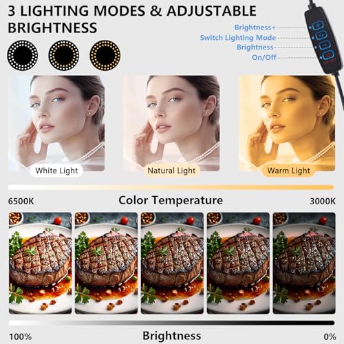 6" LED Ring Light for Desk, Overhead Phone Mount, LED Selfie Light