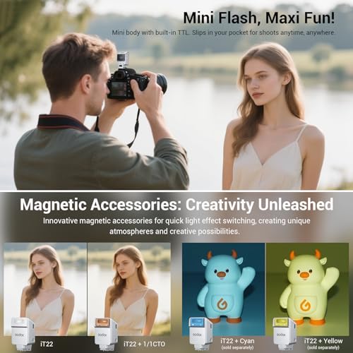 Godox iT22-S Silver Mini TTL Camera Flash for Sony Godox IT22-S(Silver）