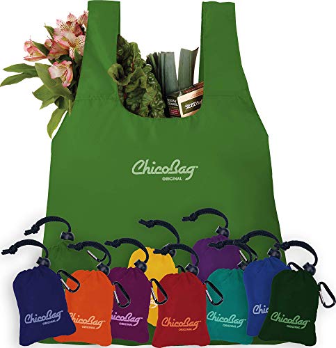 ChicoBag Original Compact Reusable Grocery Bag w/Attached Pouch and Carabiner Clip | Perfect for Shopping, Travel, Organization | Eco-Conscious Packable Tote | Pale Green (Pack of 4)