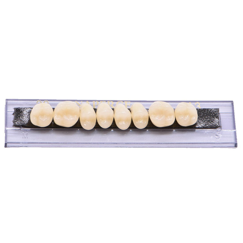 [Australia - AusPower] - 168Teeth Dental Synthetic Resin Tooth Denture Dentistry for Halloween Horror Teeth,Dental Education,Dental Teeth Teaching Model (23A3(6SET)) 23a3(6set) 
