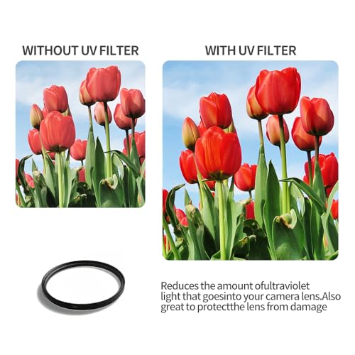 420-800mm f/8.3 Telephoto Lens Zoom SLR Camera Lens for Canon T7i T6 T6i T6s T7 T8i T3i, T4i, T5, T5i, SL2, SL1 4000D 2000D 80D 90D 5D III 6D 7D II 60D 70D 250D 750D 760D 1300D Black
