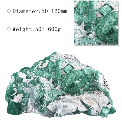 Amogeeli Natural Green Fluorite Crystal for Home Office Tabletop Decor Rough Stone Mineral Specimen for Healing 1.1-1.32 lb