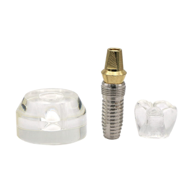 [Australia - AusPower] - 1 Pc Dental Model #2020 01 - Clear Implant Model Dental Implant Demonstration Model Teeth Study Teach 