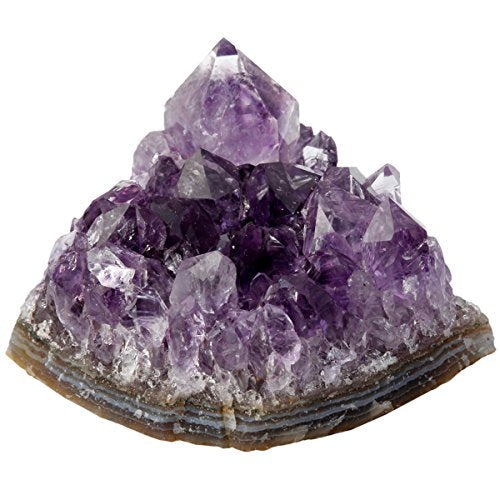 SUNYIK Pack of 5 Mini Natural Raw Amethyst Crystal Cluster Geode Home Decor