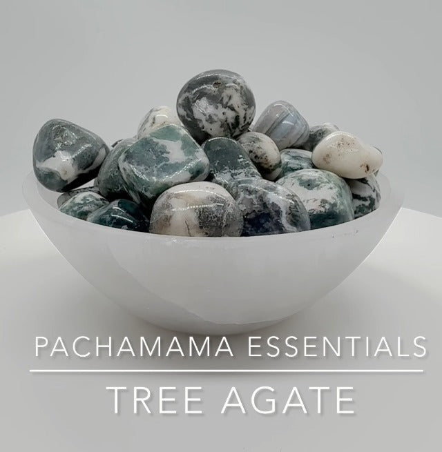 Pachamama Essentials Tree Agate Tumbled - Healing Stone - Crystal Healing 20-25mm (3) 3