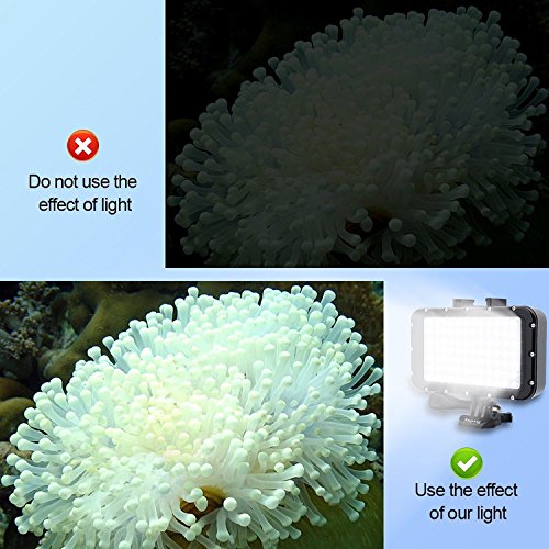 Suptig Underwater Lights Dive Light 84 LED High Power Dimmable Waterproof LED Video Light Waterproof 164ft(50m) Camera Light for Gopro Canon Nikon Pentax Panasonic Sony Samsung SLR Cameras
