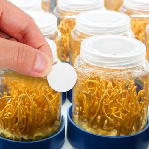 VALICLUD ePTFE microporous filter membrane discs, 20×10mm adhesive mushroom cultivation stickers