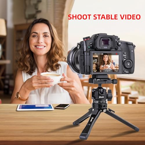 Zeadio Mini Ball Head, All Metal 360° Rotatable Panoramic Tripod Head with Arca Swiss Quick Release Plate, Compact Camera Mount for DSLR Cameras, Monopod, Tripod, Vlogging etc Arca Version