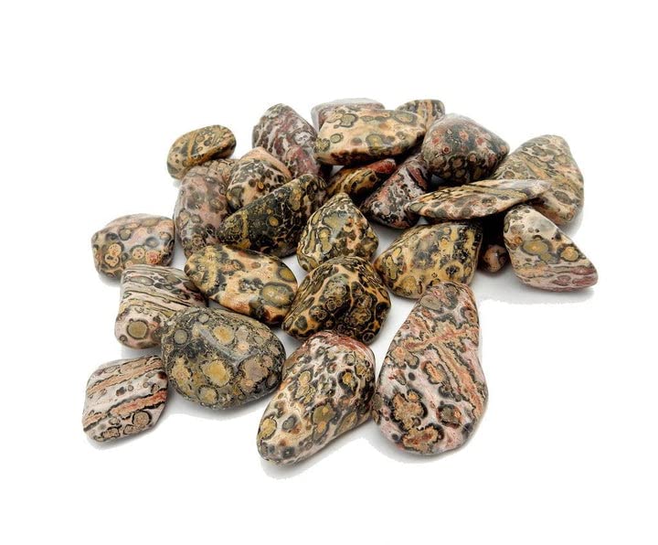 Pachamama Essentials Leopard Skin Jasper Tumbled - Healing Stone - Crystal Healing 20-25mm (5) 5
